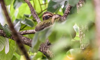 Holiday Destinations