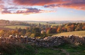 Cotswolds