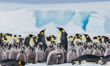 Holiday Destinations