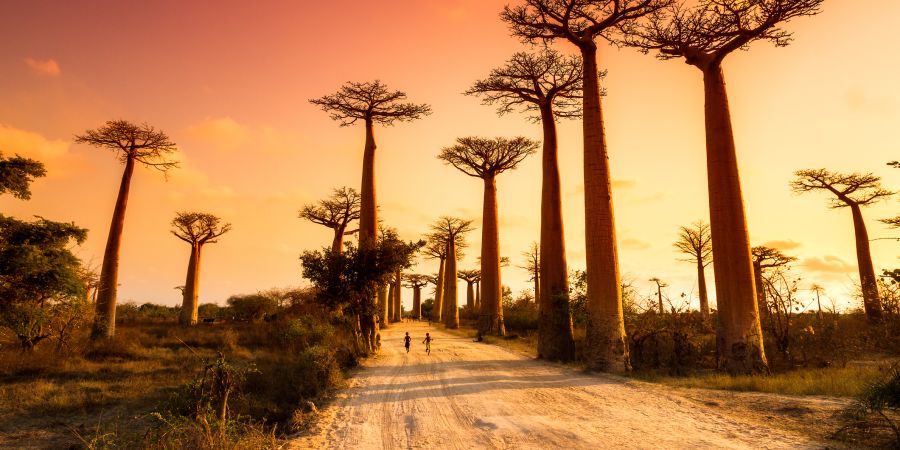 Where Adventure Holidays Begin