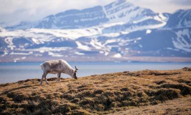 Holiday Destinations